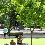 Campo De Ourique Premium Lisbon